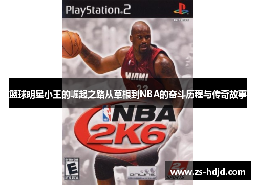 篮球明星小王的崛起之路从草根到NBA的奋斗历程与传奇故事