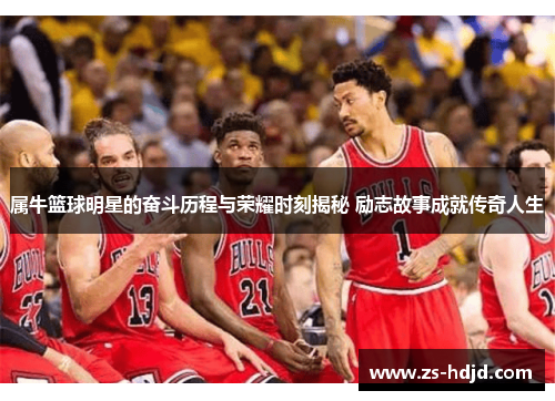 属牛篮球明星的奋斗历程与荣耀时刻揭秘 励志故事成就传奇人生